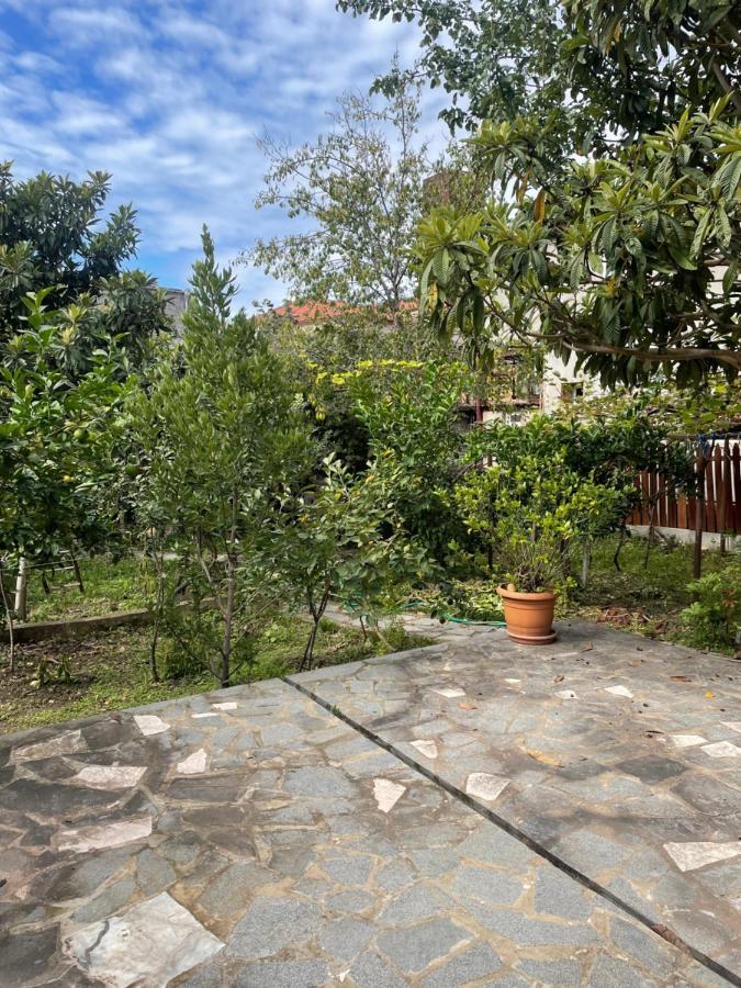 Gardenie Lägenhet Kutaisi Exteriör bild