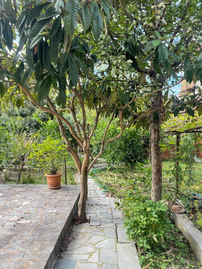 Gardenie Lägenhet Kutaisi Exteriör bild